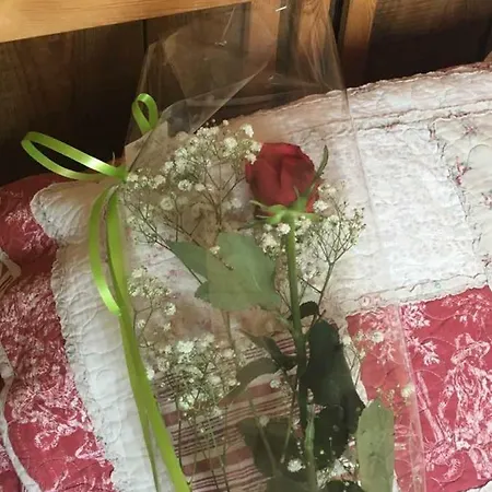 La Des Amoureux 巴尔若尔